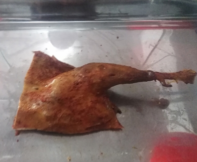 微信截图_20231228141424.png